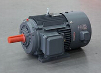YVFF-H series Frequency conversion three phase adjustment speed asynchronous motor