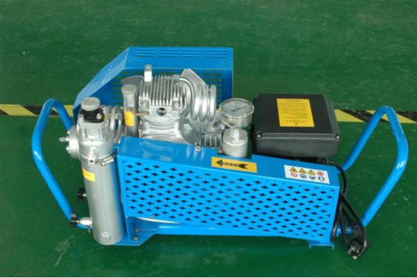 Single cylinder Low Pressure 1.0MPa Air Cooling Marine Air Compressor