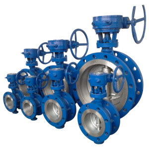 Marine Double Flanged Butterfly Valve with Worm Gear