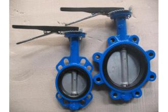 Marine Cast Iron Wafer Butterfly Valve with Bronze Disc